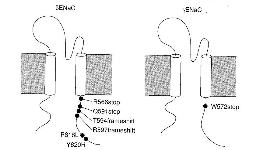 Газоразрядные лампы низкого и высокого давления