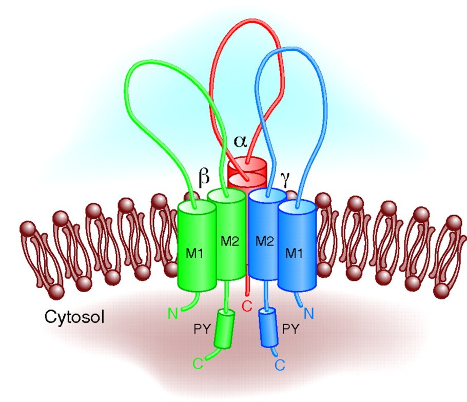 Лампа газоразрядная натриевая nav-t 250вт трубчатая 2000к e40 Osram 4058075036642