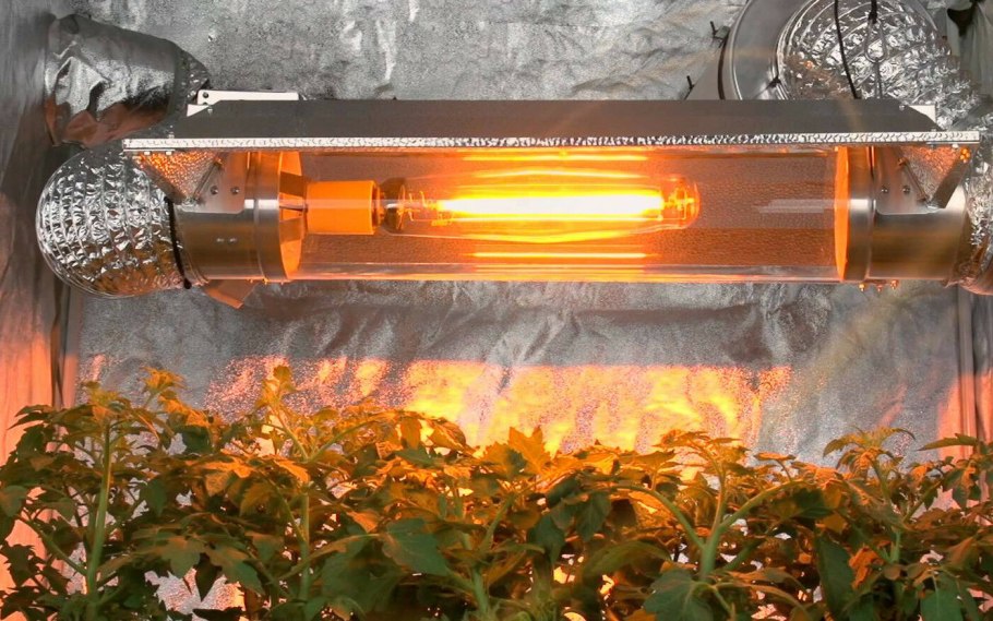 Транспорт ионов натрия через мембрану