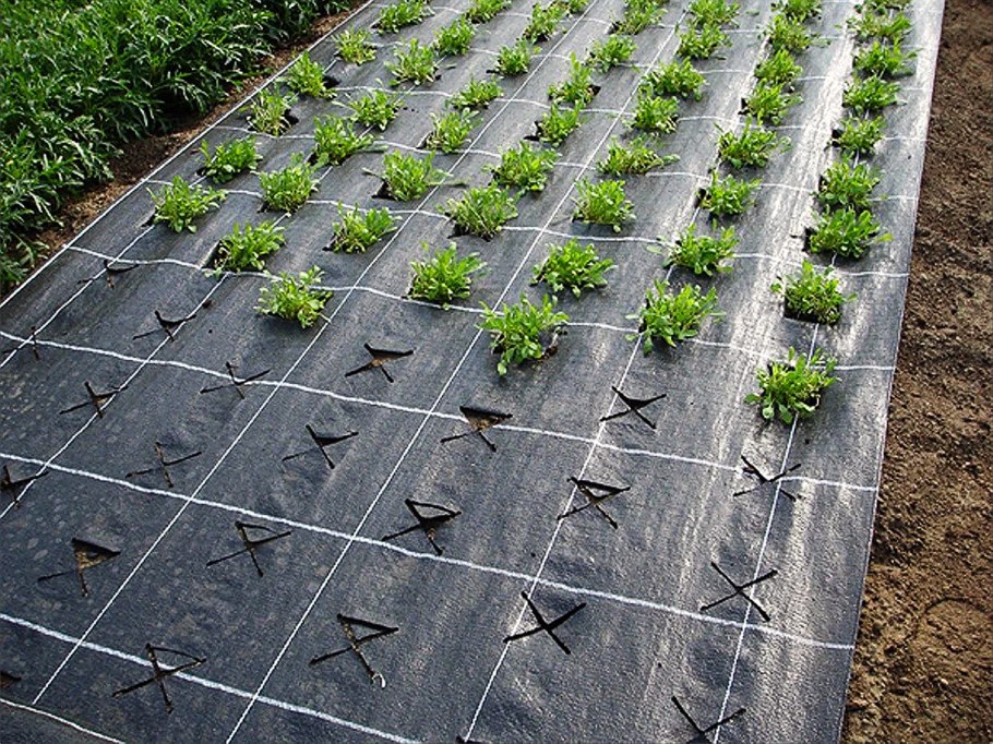 Агротекстиль Agrojutex 100