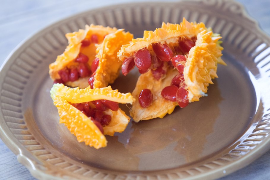 Крымский гранат момордика