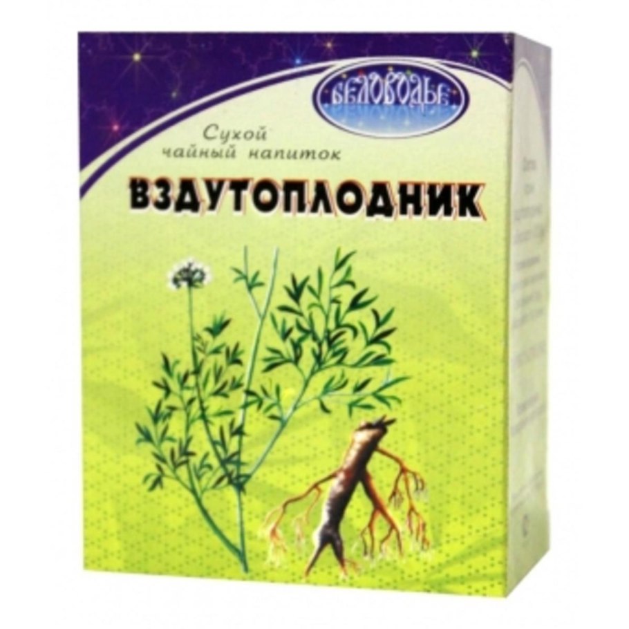 Вздутоплодник Сибирский корневища и корни