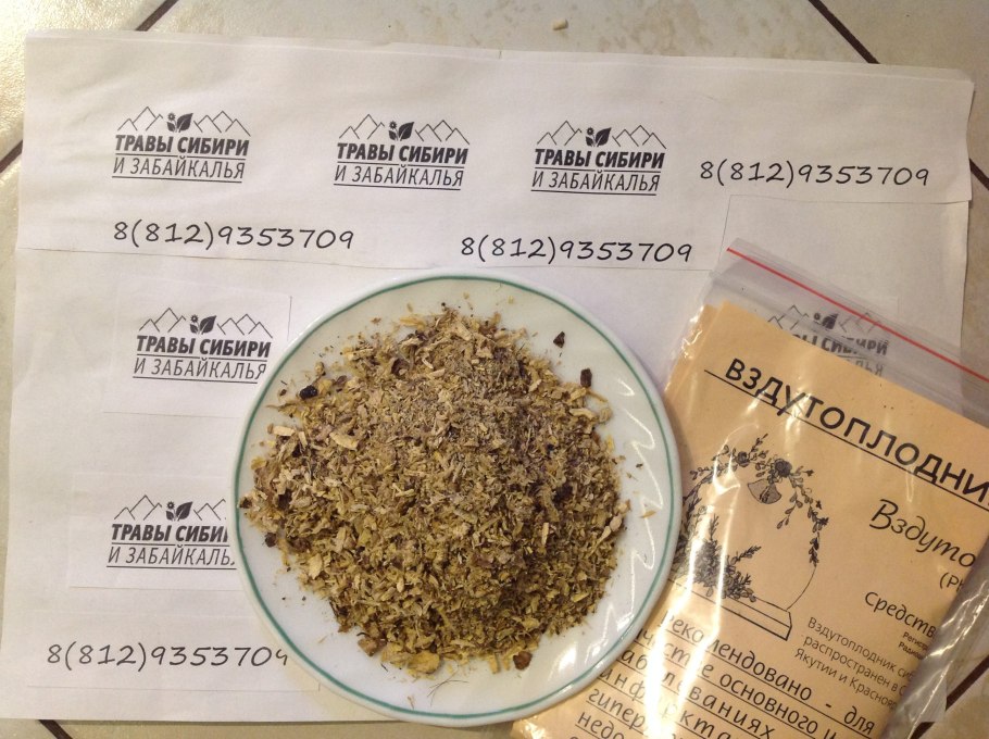 Вздутоплодник Сибирский Волчья трава