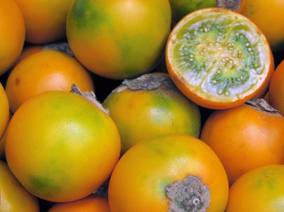 Наранхилья (Solanum quitoense)