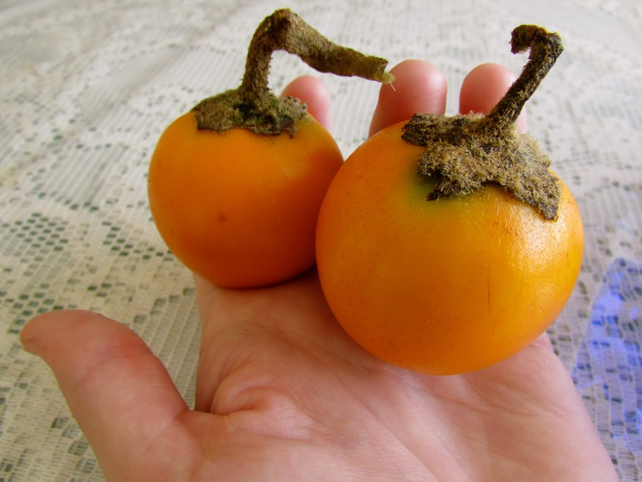 Луло Наранхилья