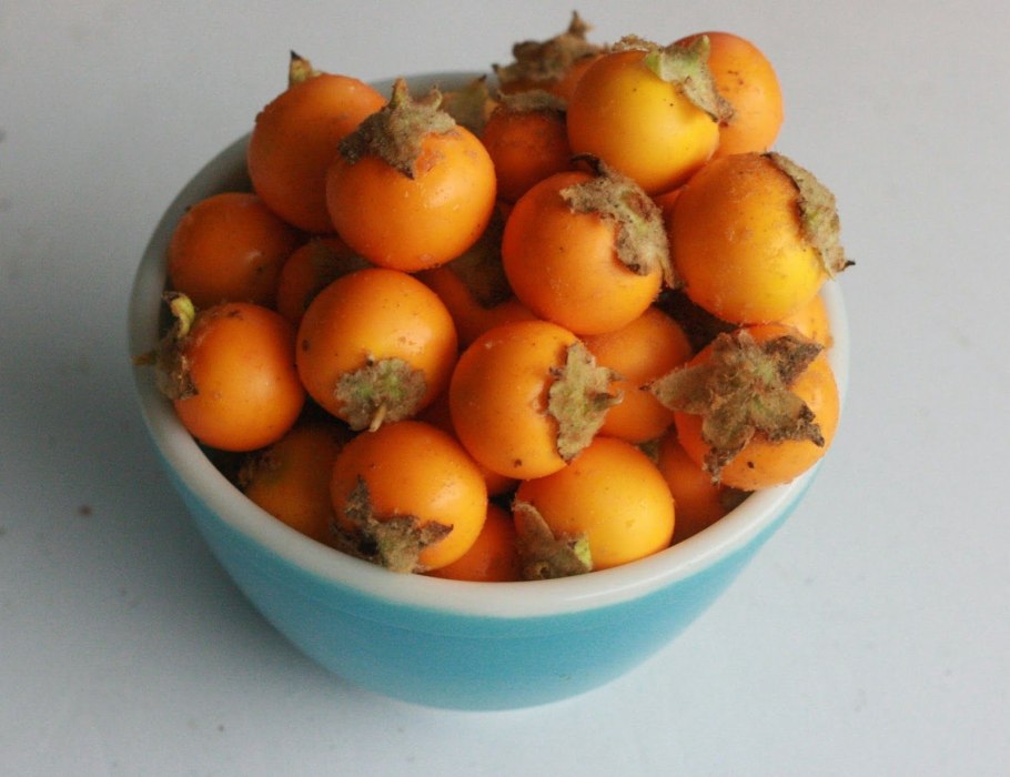 Наранхилла сушеная