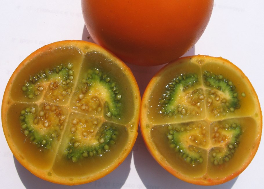 Наранхилла фрукт