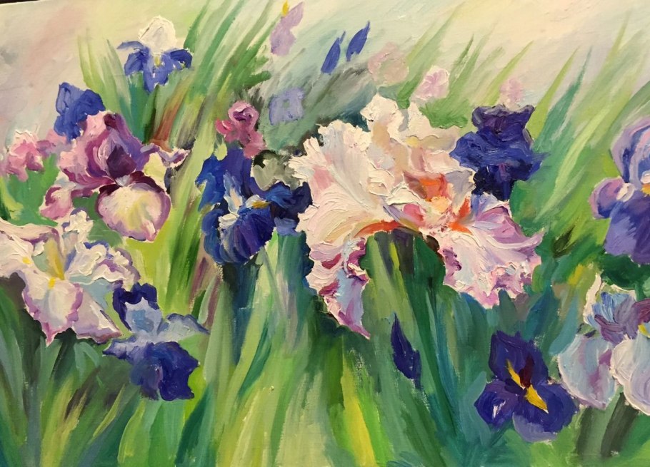 Ирис карликовый Tallinn