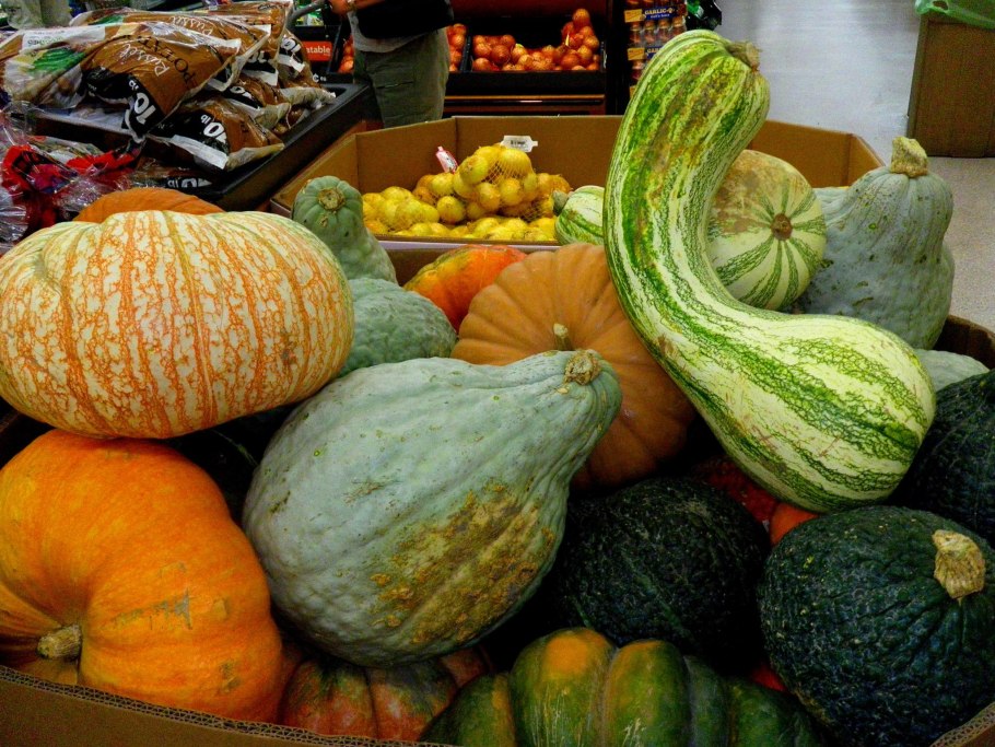 Тыквенные Cucurbitaceae