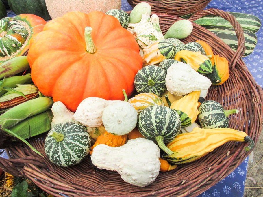 Кустовая тыква веснушка