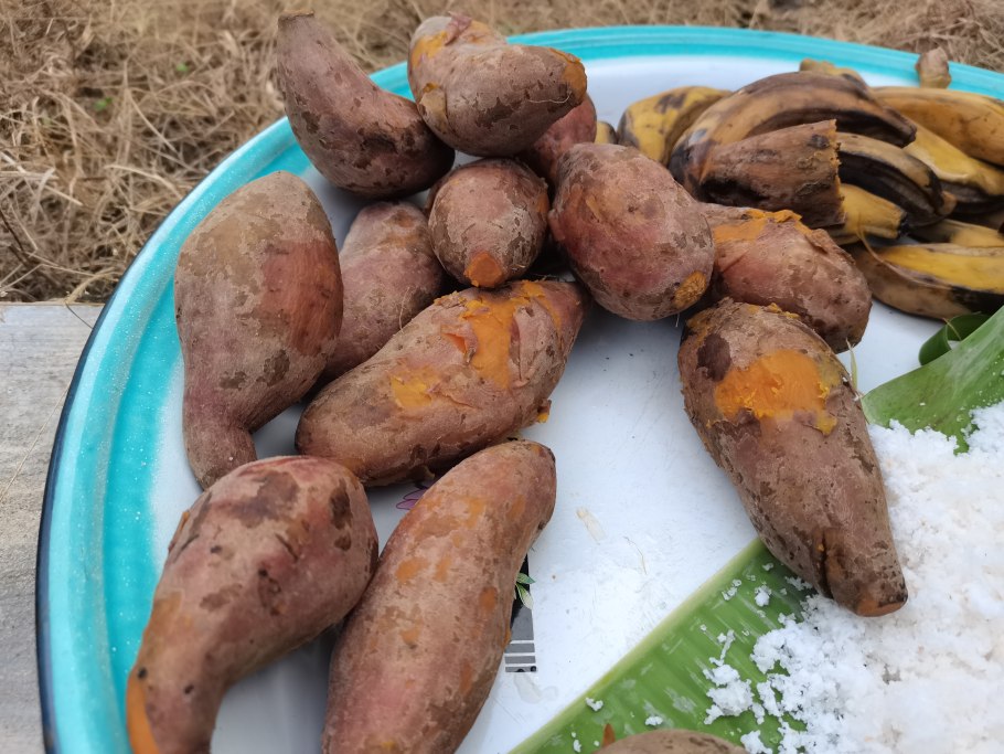 Батат картошка