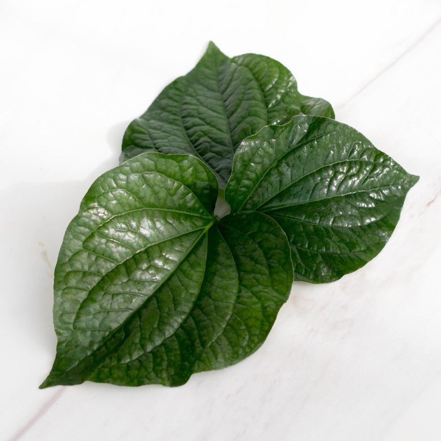Betel leaves