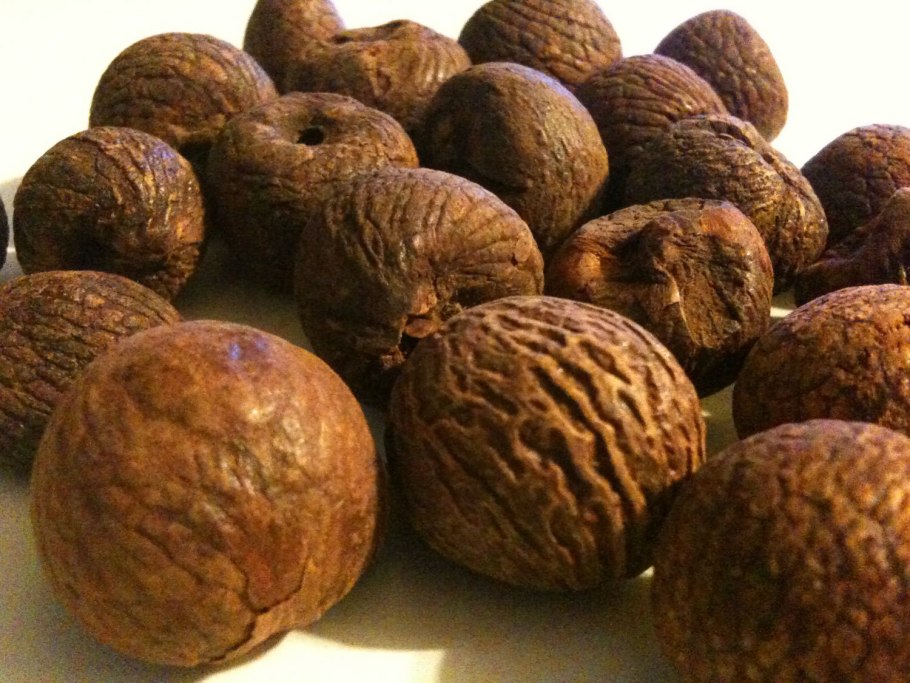 Перец бетель растение