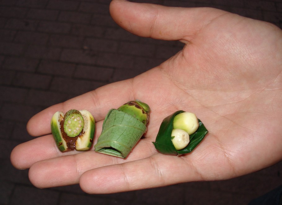 Бетель орех из Тайланда