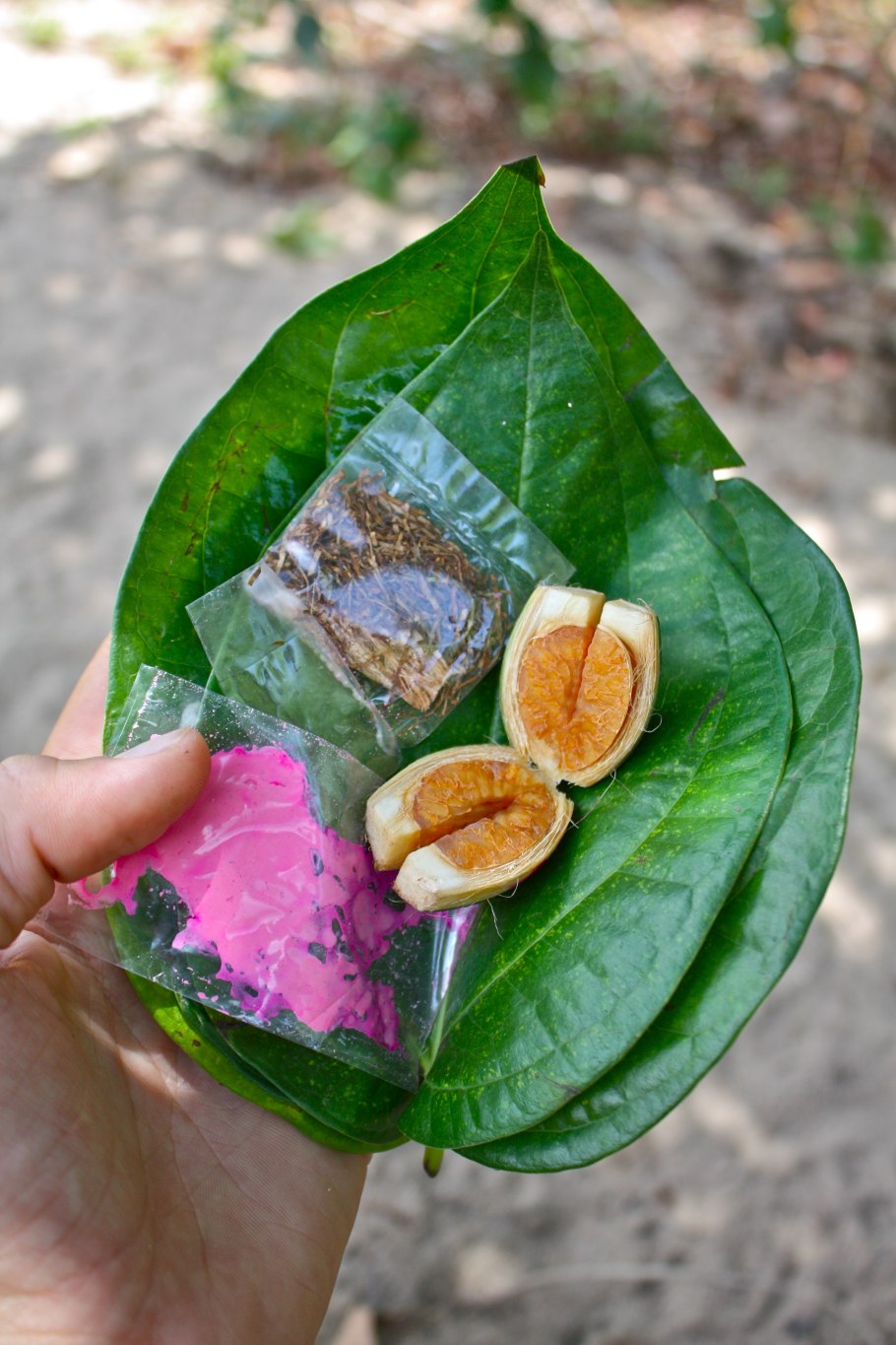 Betel nut Мальдивы
