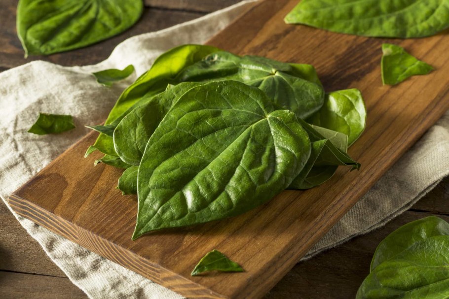 Листья бетеля