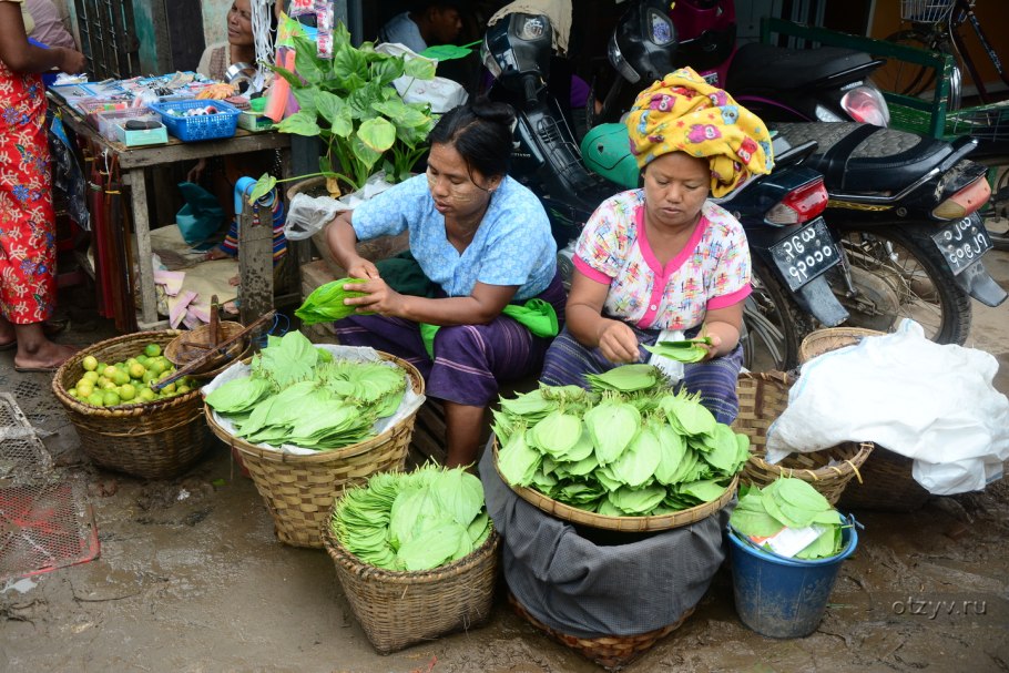 Мьянма бетель