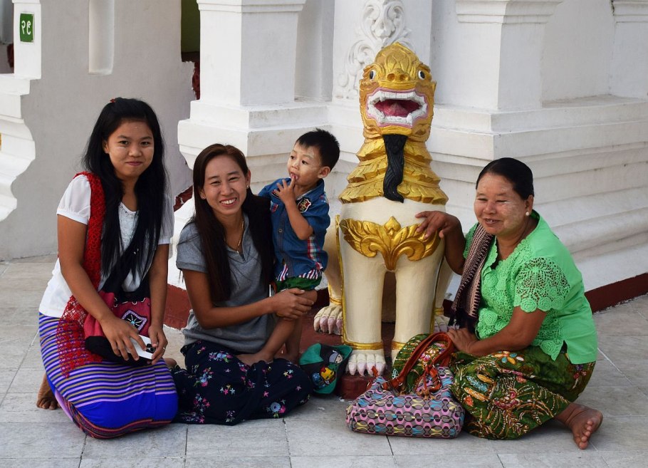 Бетель фото растения