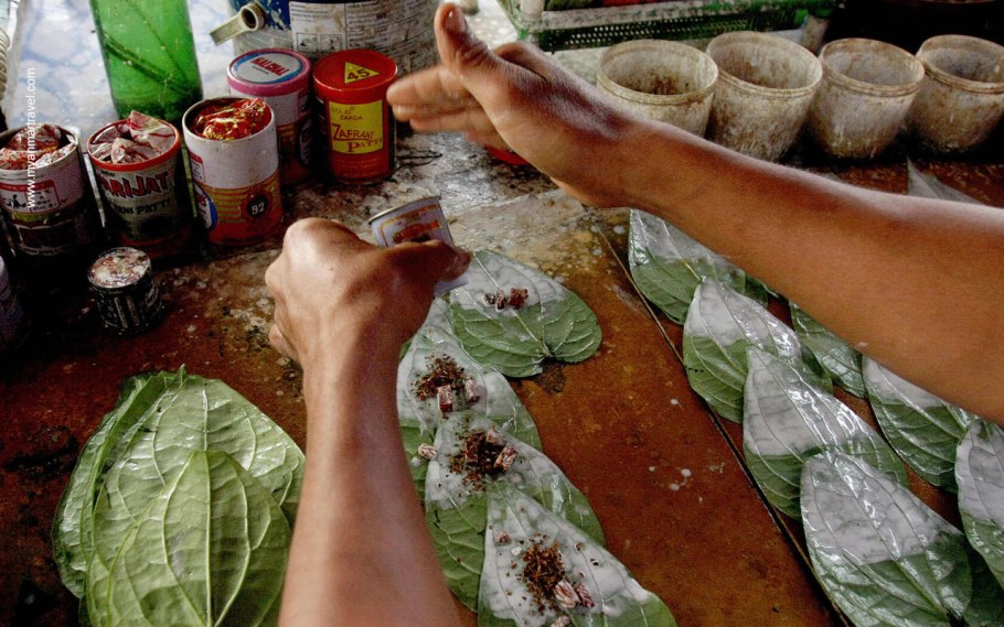 Перец бетель