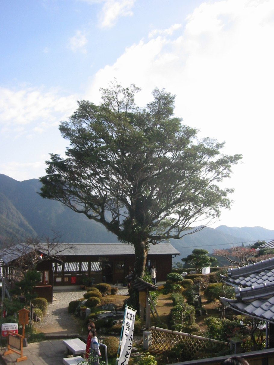 Капли ультра Систейн ультра