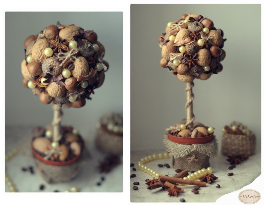 Тапинарий изгрецких орехов