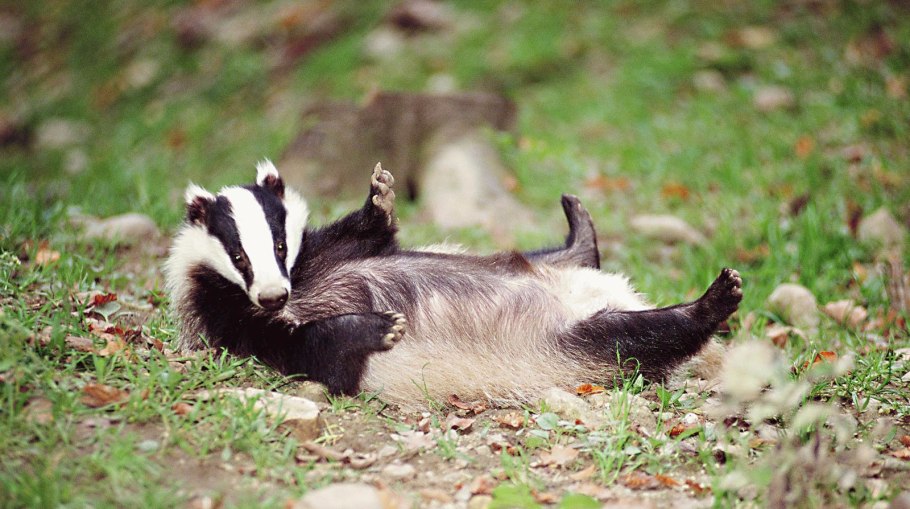 Алюминий 0881 pe