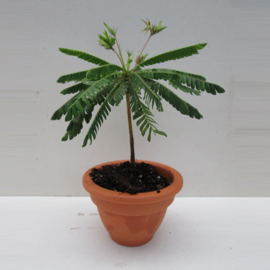 Клуб Биофитум сайт