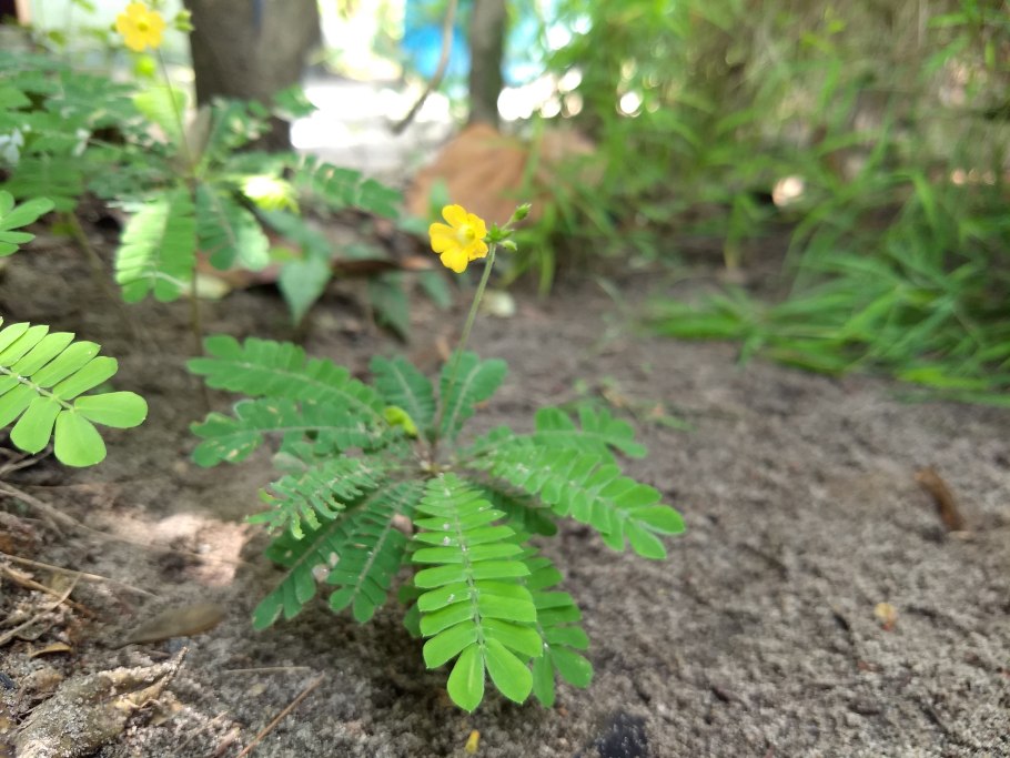 Клуб Биофитум Москва