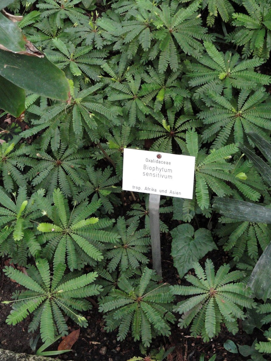 Клуб Биофитум Москва