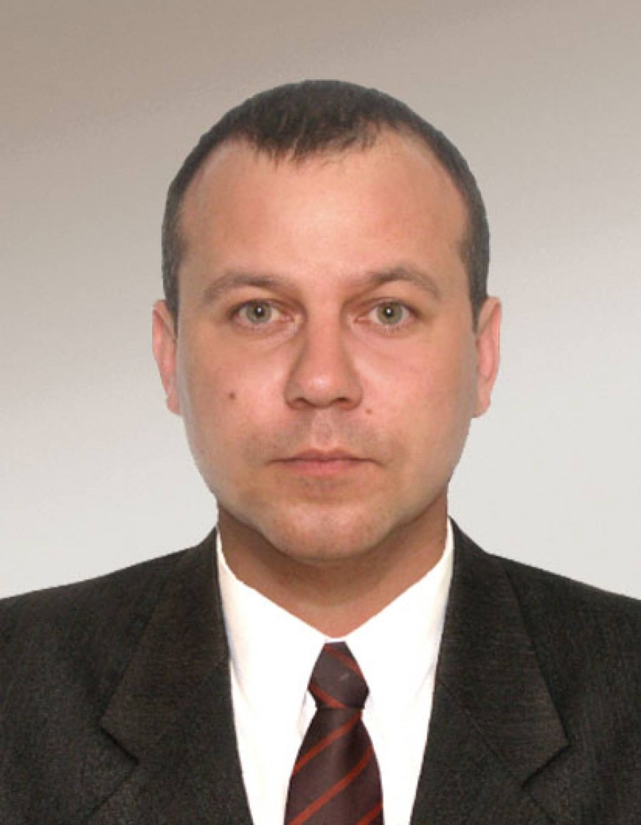 Эритроксилум Кока рисунок