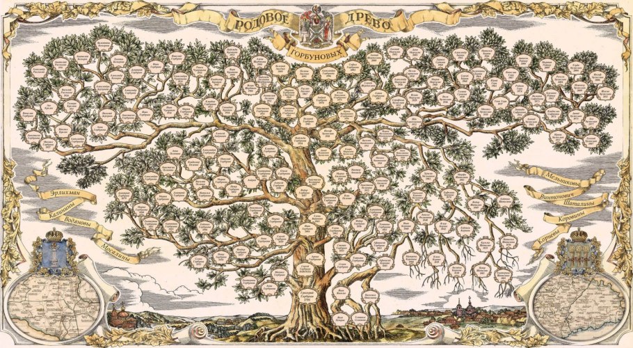 Алина Кабаева