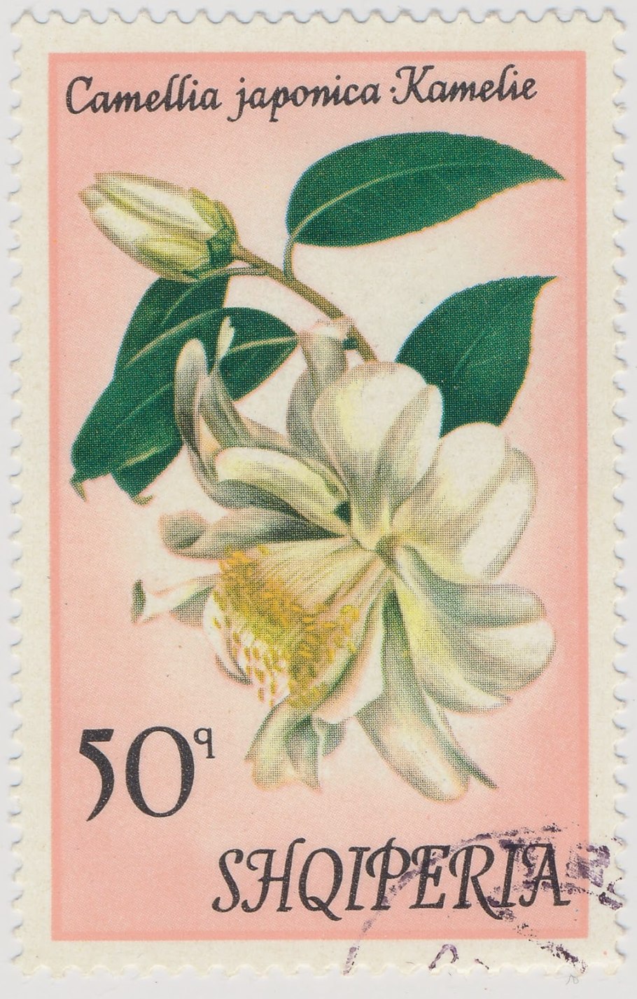 Угрюм-река фильм 2020