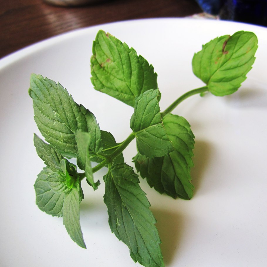 Китайская мята