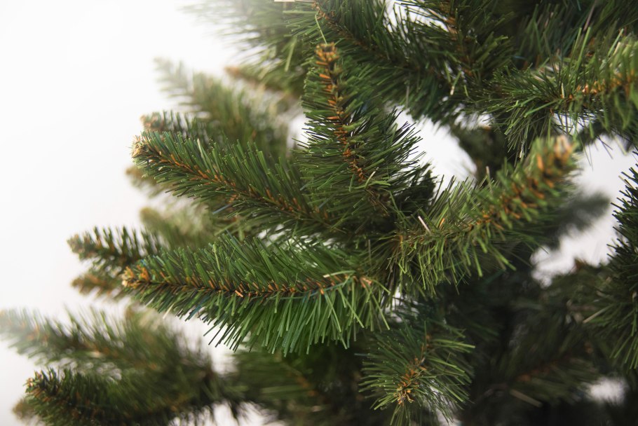 Ель европейская хвоя