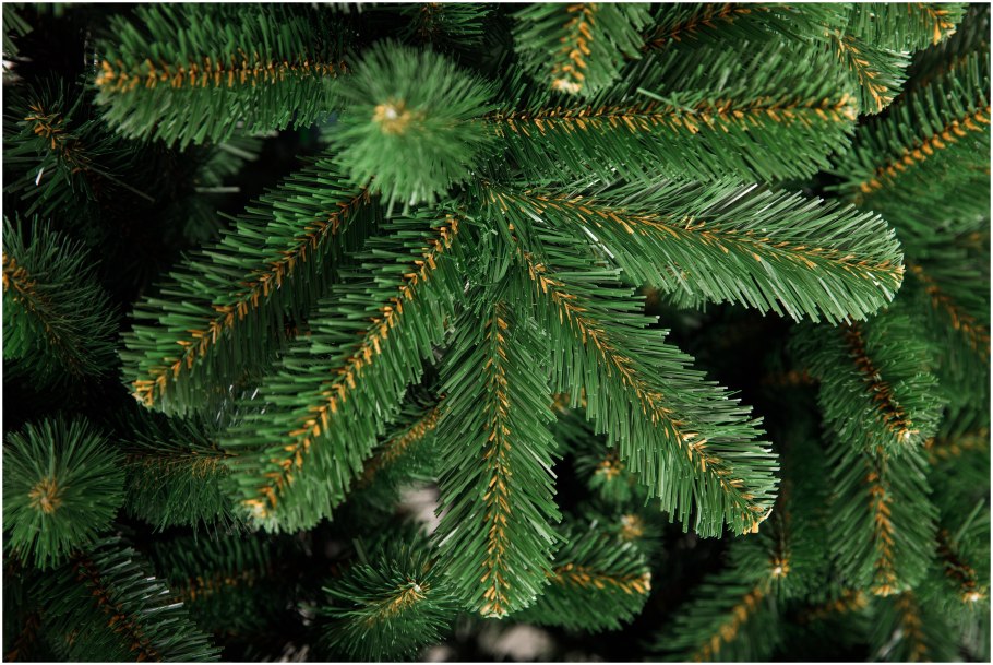 Ель Ауреоспиката