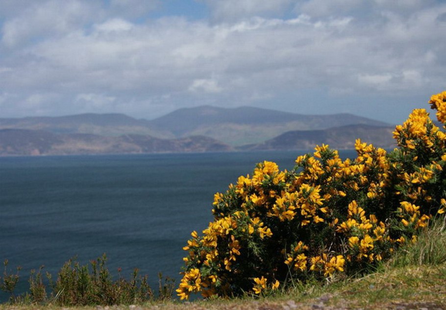 Шотландия страна