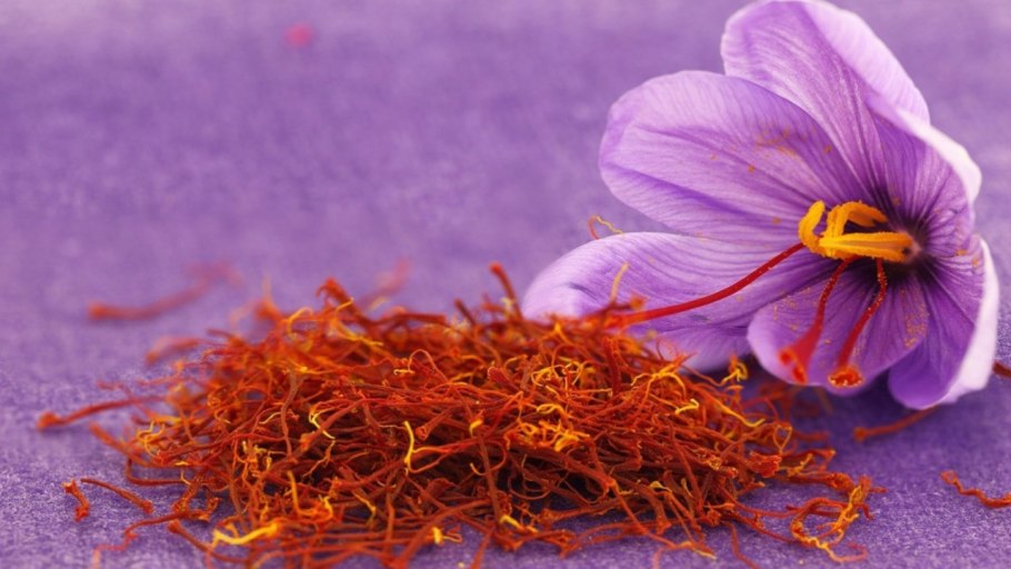 Шафран саффрон