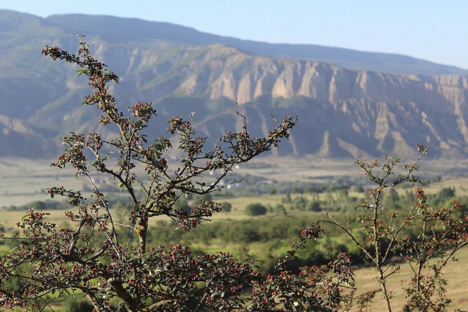 Кизил Крымский