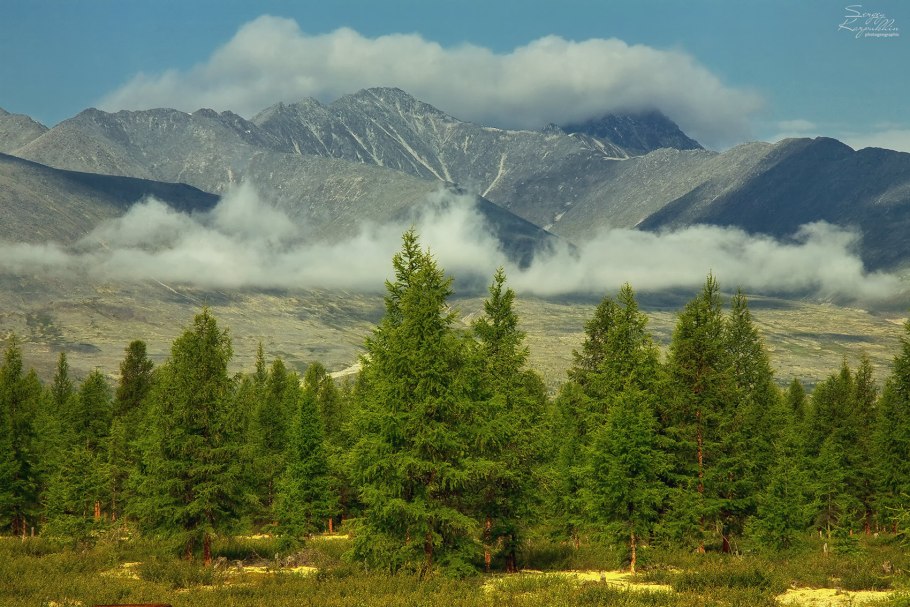 Магадан Тайга