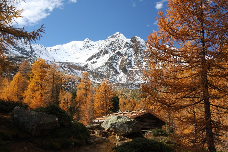 Чукотка лиственница осень