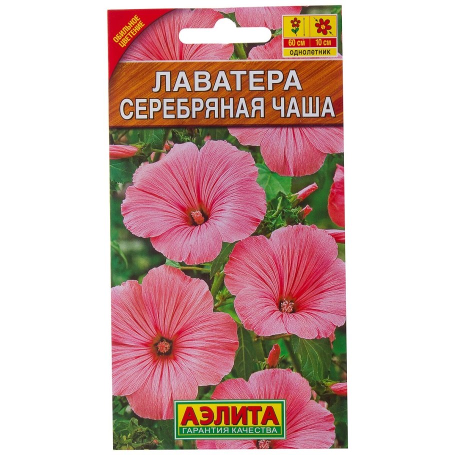 Семена лаватера серебряная чаша