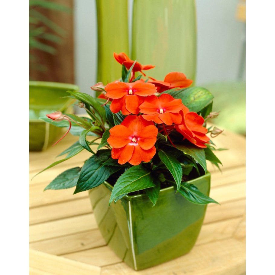 Вода на плане