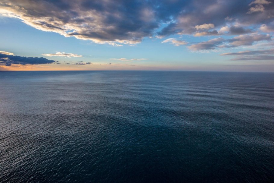 Бальзамин садовый Камелия