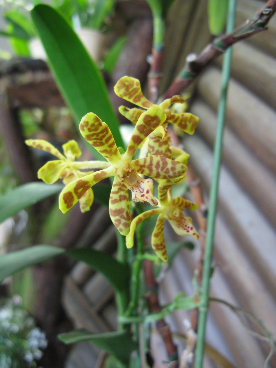 Презентация на тему гидросфера