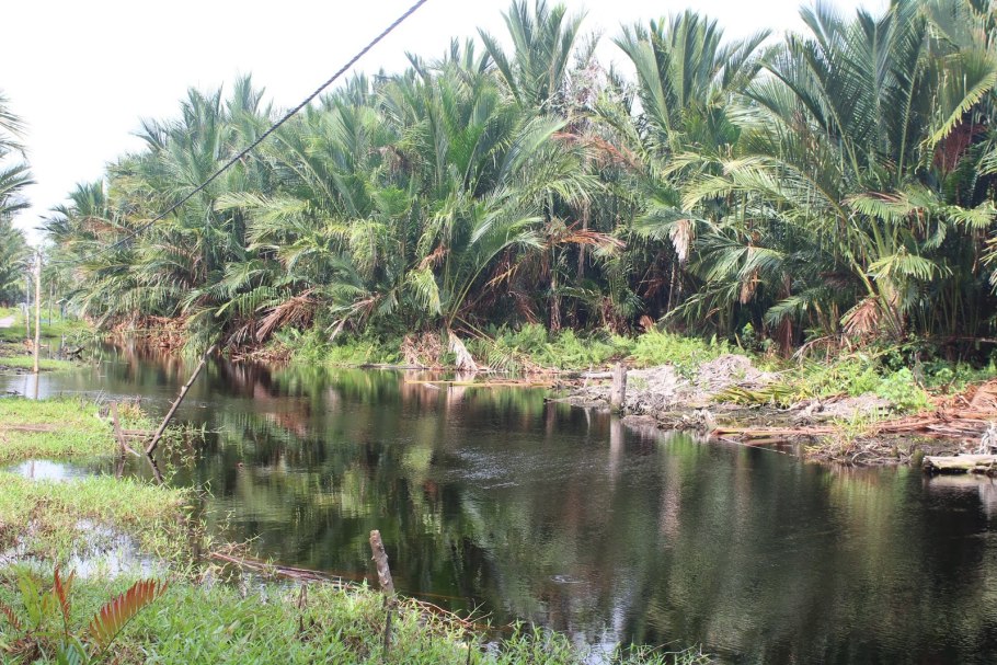 Французская Полинезия остров Хуа Хуа