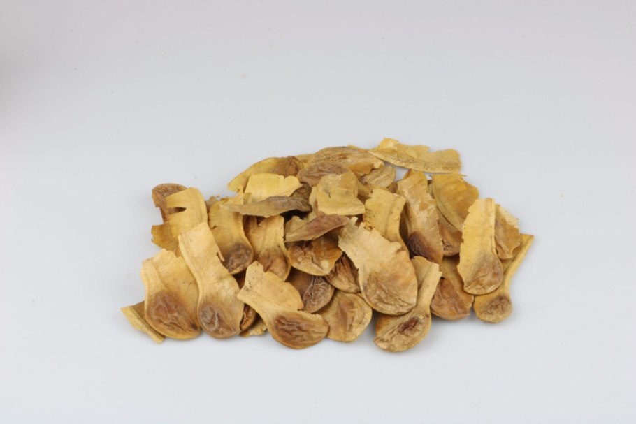 Пальма Флорес