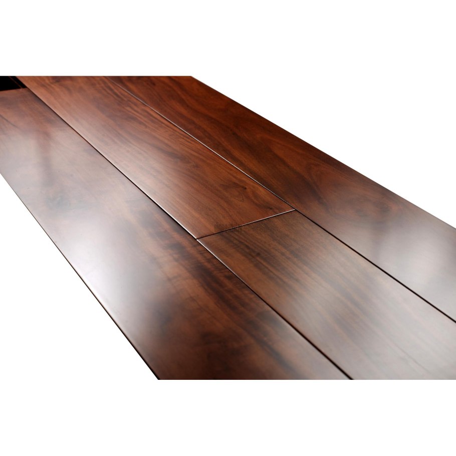 Cycas revoluta Цикас