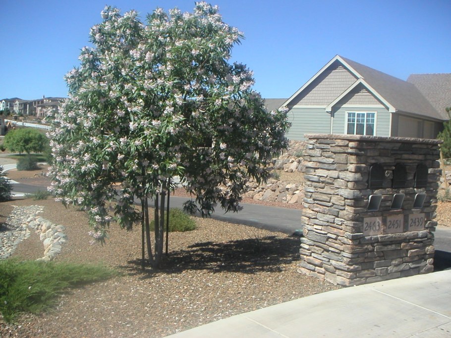 Читальпа Ташкентская