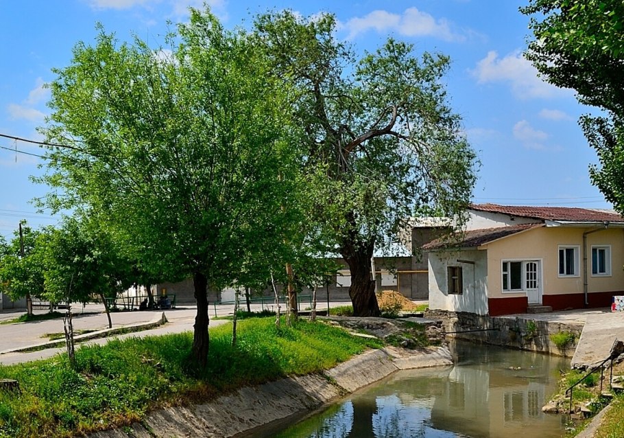 Коммерческие санаторий в Ташкентской области