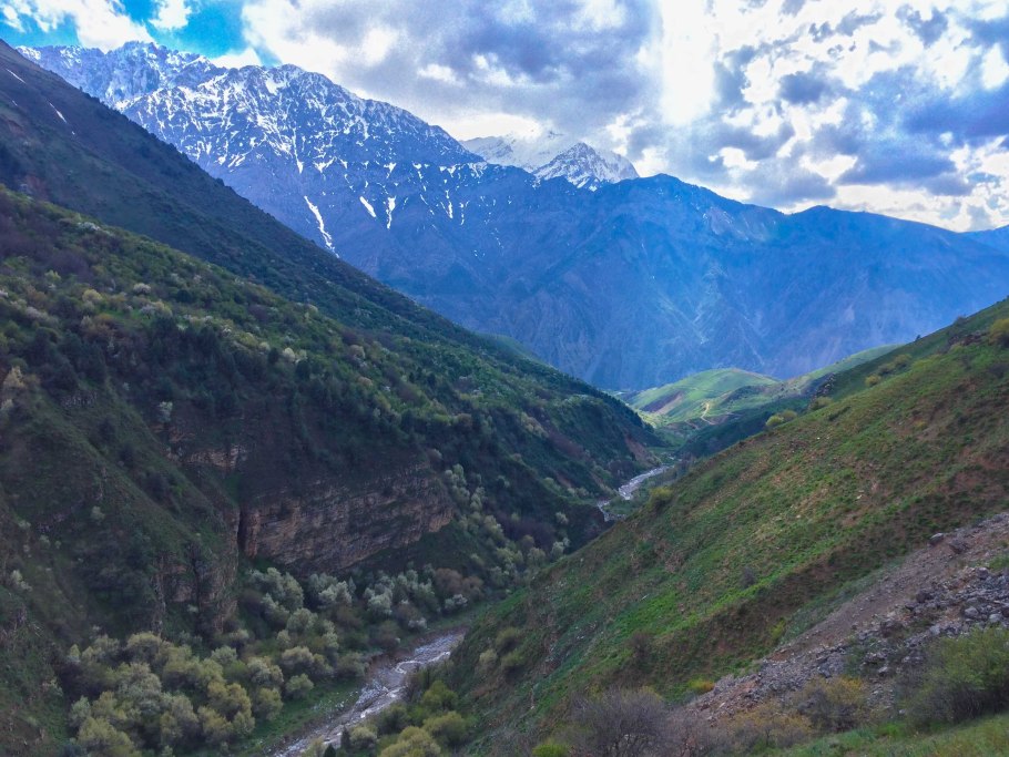 Шимск улица Ташкентская